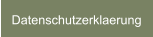 Datenschutzerklaerung